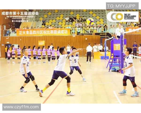 深入分析成都排球队快攻战术的特点与实施策略