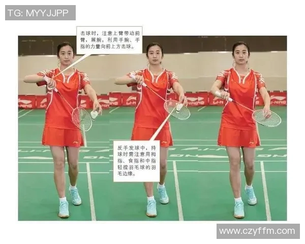 运动最新数据从零基础到高手之路羽毛球技巧与训练全解析 运动最新数据从零基础到高手之路羽毛球技巧与训练全解析