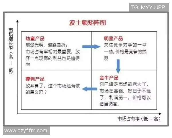 实时新闻深入分析上海飞盘队的运营策略与发展模式探秘 实时新闻深入分析上海飞盘队的运营策略与发展模式探秘